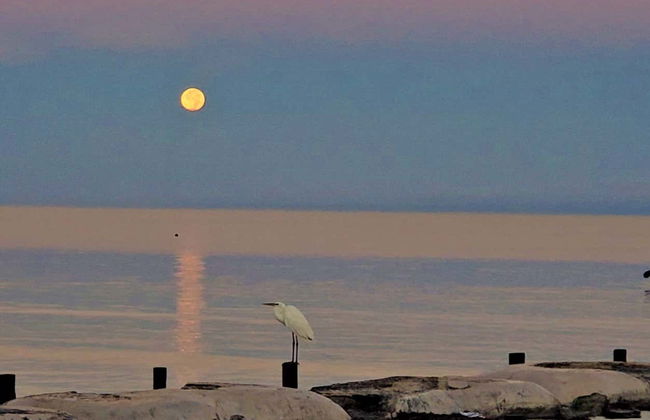 Maya Full Moon Ceremony - Photo 5