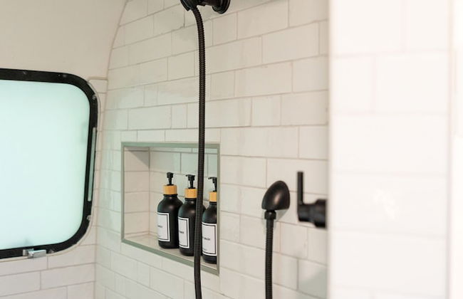 Creekside Fern in Pisgah Forest - Foto 8