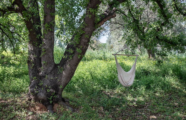 Vilia House on the Hill - Foto 39