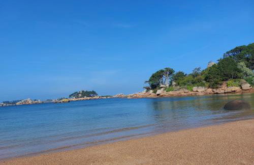 Les pieds dans l'eau à Ploumanac'h - Foto 15