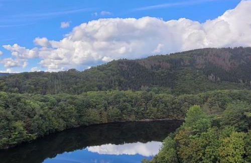 Cherry trees in blossom - Foto 37