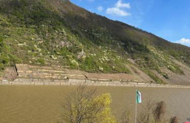 Pension Cafe Braun - Foto 19