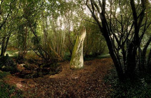 Gîtes de La Ferme De Kereven - Foto 46