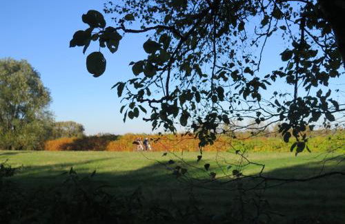 CrossARTig - Foto 32