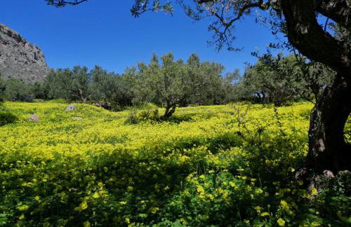 Aspasia's House - Foto 76