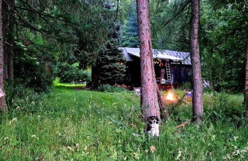 Grapa - Magiczna Leśna Chata - Foto 5