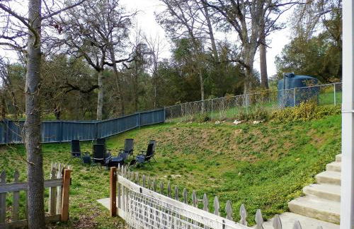 Charming Downstairs Unit - Foto 24