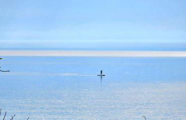 Il Portico Rosa - Foto 51