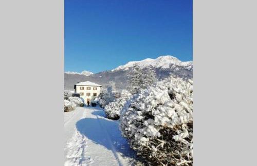 Villa Perale: la tua casa alle pendici delle Dolomiti - Foto 1
