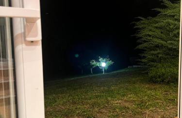 Kuća Šuma - Foto 14