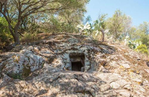 Villa Settimia a 50 mt dalla spiaggia! - Foto 76