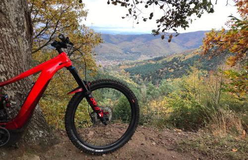 Gîte Les Plains Champs - Foto 16