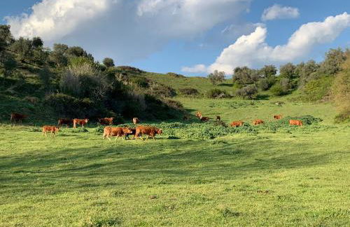 Agriturismo Polgara - Foto 26