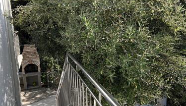 Apartmani Villa Dvorski - Foto 3, Garden