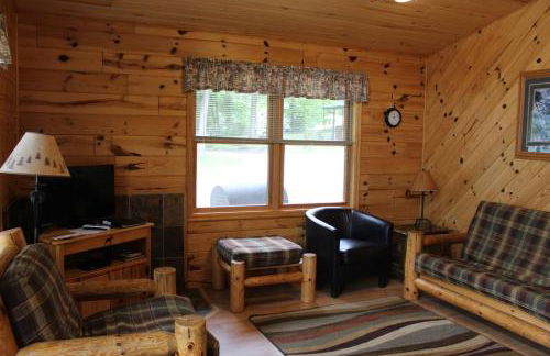 Cabin 5 - Modern Cabin with AC and lake views Fully handicap accessible - Foto 2