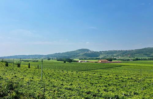 Bio Agriturismo Falezze - Foto 3