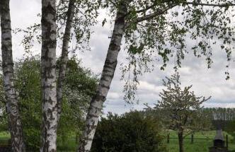 Villa Osterloff - Foto 36