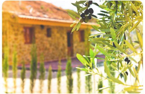 Casas y Cuevas El Solins - Foto 68