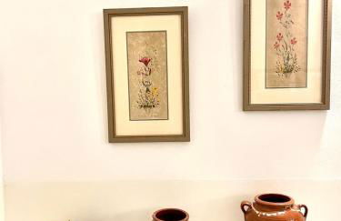 Ampelonas Antiparos - Foto 31