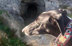 Páteo memória, casa do beco - Foto 27