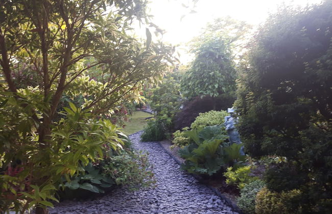 Ever Wanted to go off Grid,then This is for you - Foto 31