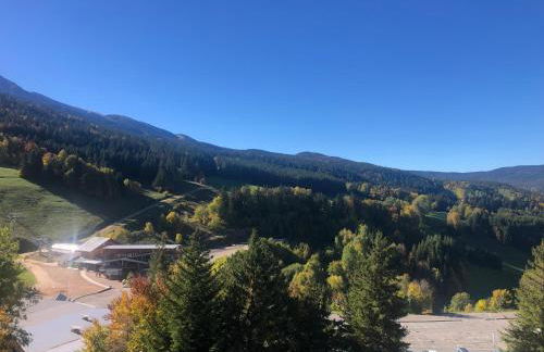 Au pied des pistes Côte 2000 - Le Balcon de Villard de Lans - Foto 54