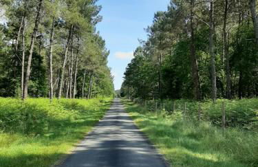 Gite climatisé L'Orée des Landes Proche Center Parcs - Foto 25