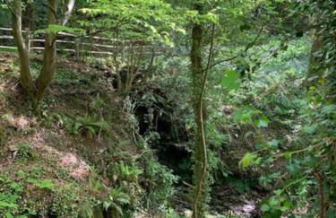 Shangri la at Beauport - Foto 31