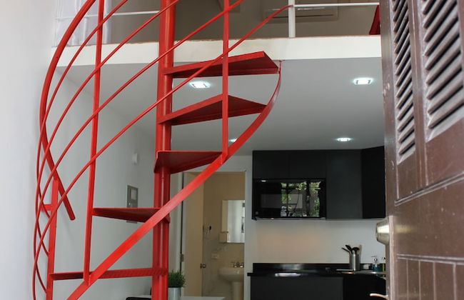 Gladiolas 2102 - Foto 11