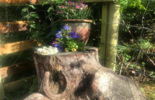 Peaceful Shepherd's Hut next to Horse Field - Foto 20