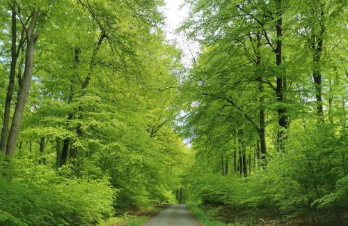 Ferienhaus mit Ausblick - Foto 19
