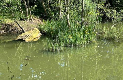 Woodlands Luxury Lake Log Cabin - Vetiver Villa - Foto 4