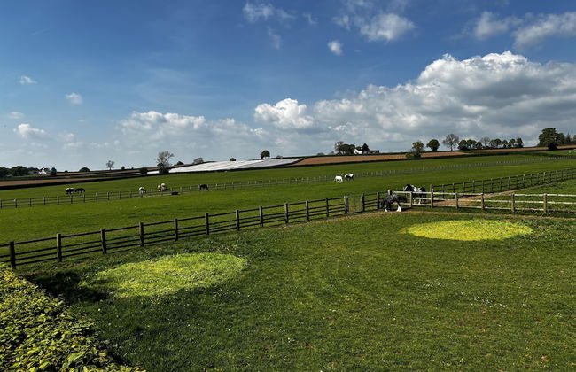 2 Bed Chalet on Working Farm - Photo 6