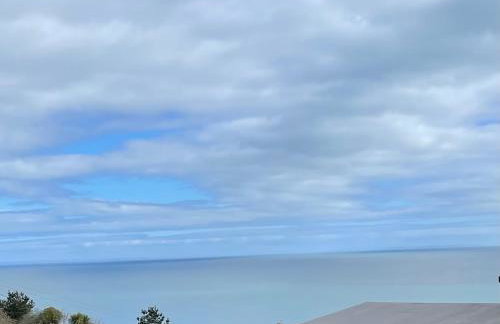 Loughview Lodge - Foto 10