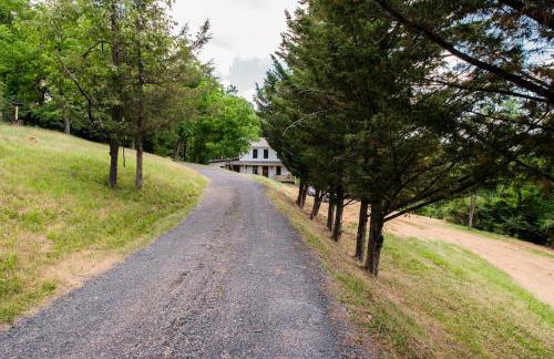 Black Bear Vista-3BR Fast Wi-Fi - Foto 7