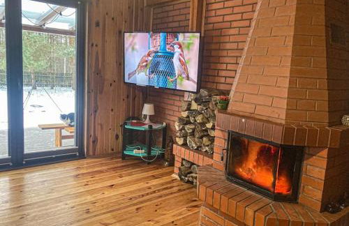 Zacisze leśne w Juliance - Foto 10