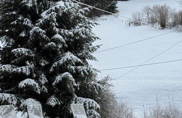 Gästehaus Absbachtal - Foto 27