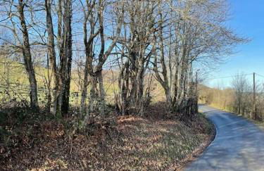 Gîte de charme Moyrazes - Photo 7