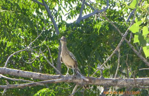 Mansion on the Hill let 4 Rooms, 5th cost extra - Foto 69