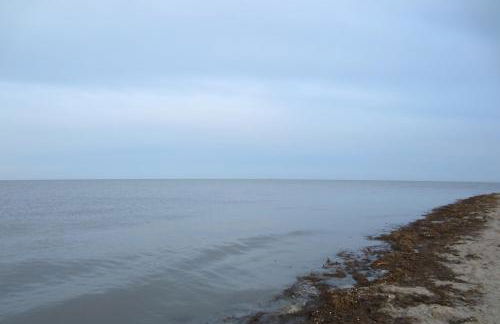 Hof Becker - Weidenblick - Photo 14