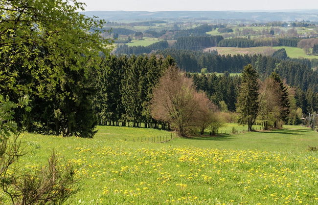 Comfy Home with Sauna Located near Forest - Foto 37