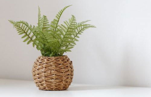 Three-Bedroom House with Garden in Newton-Le-Willows - Foto 1