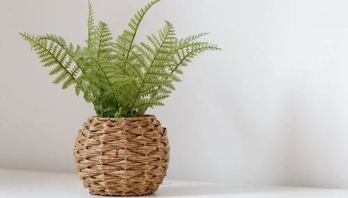 Three-Bedroom House with Garden in Newton-Le-Willows - Foto 1