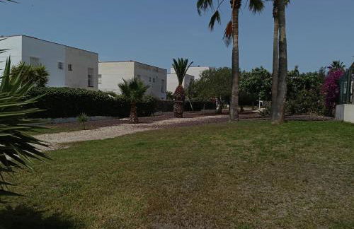 Rolex el Toyo-Retamar - Foto 33