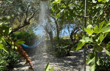 Olive Grove House - Foto 42