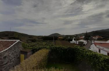 O Pomar do Gasparinho - Foto 24