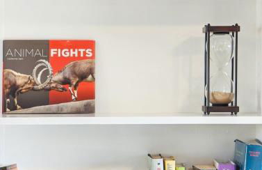 The Peakview Mirage_Newly Renovated Near USAFA - Foto 23