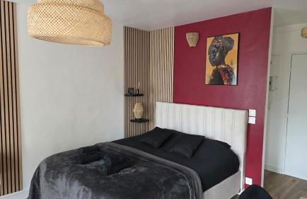 L'Ethnik Spot- studio cosy proche Paris et Stade de France - parking privé - Foto 8