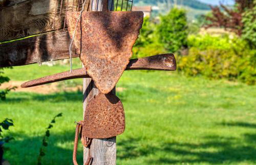 Agriturismo Le Terre del Casale - Photo 14