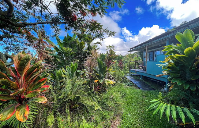 Gingerhill Farm Retreat - Foto 60